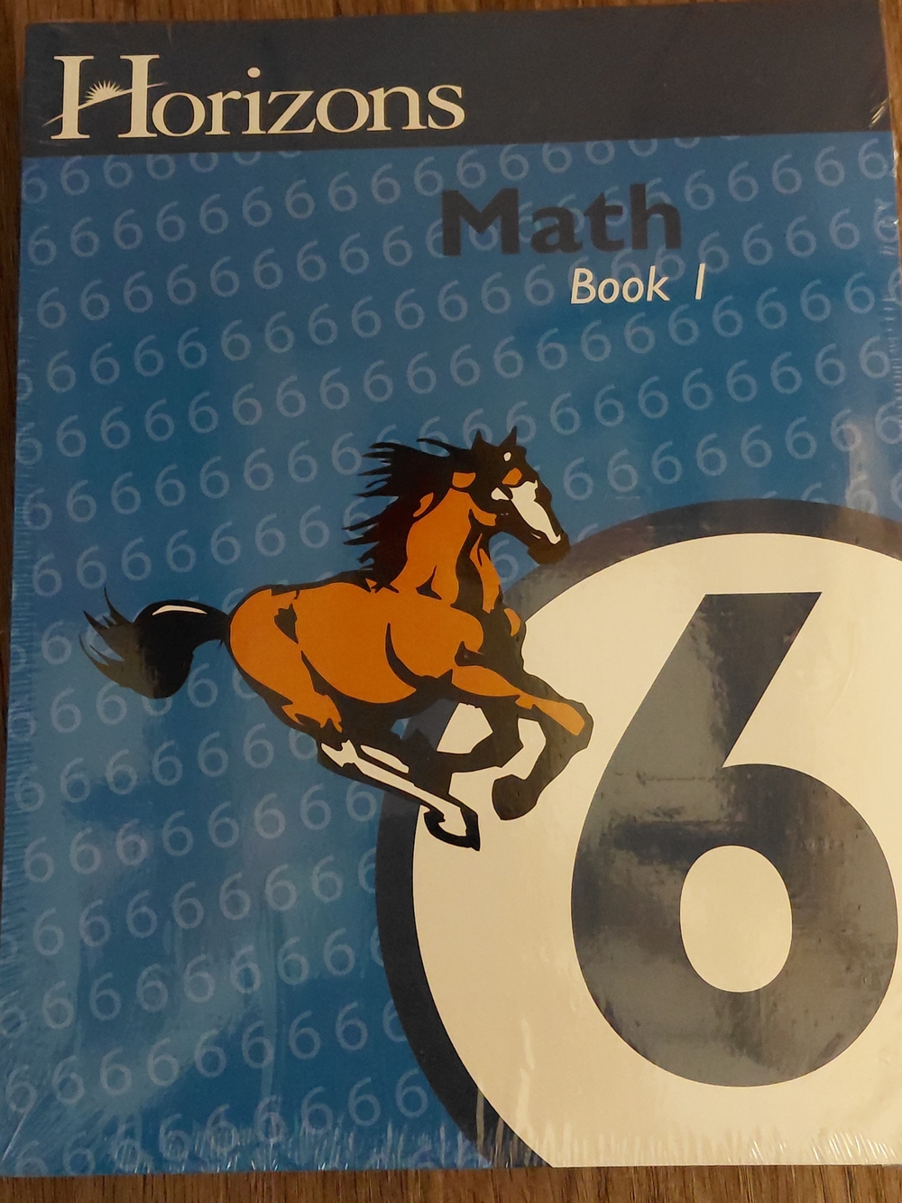 Horizons 6th Grade MATH SET Teacher's Guide &  Student Workbook Books 1 & 2 NEW